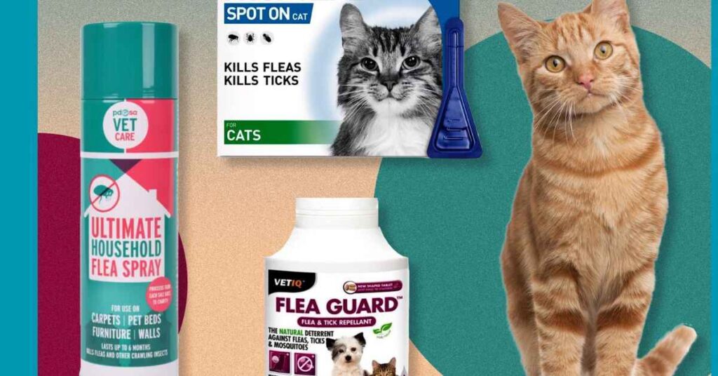 effective-flea-treatment-for-cats