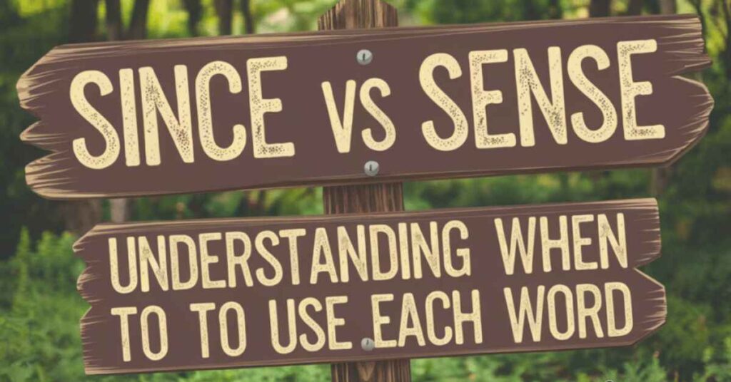 since-vs-sense-understanding-when-to-use-each-word