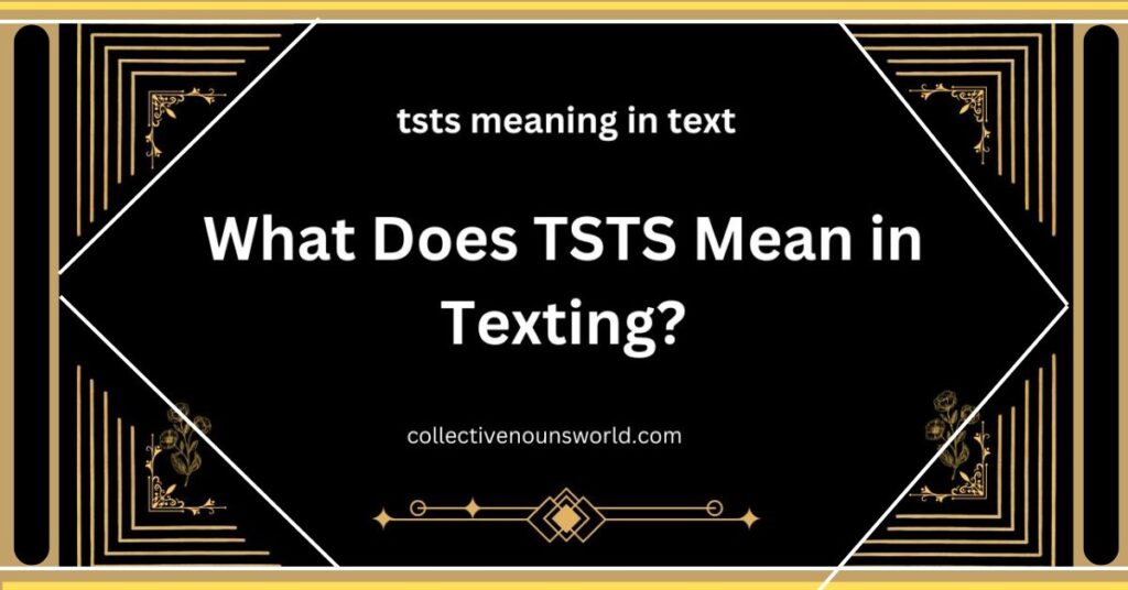 tsts-meaning-in-text-explained-easily